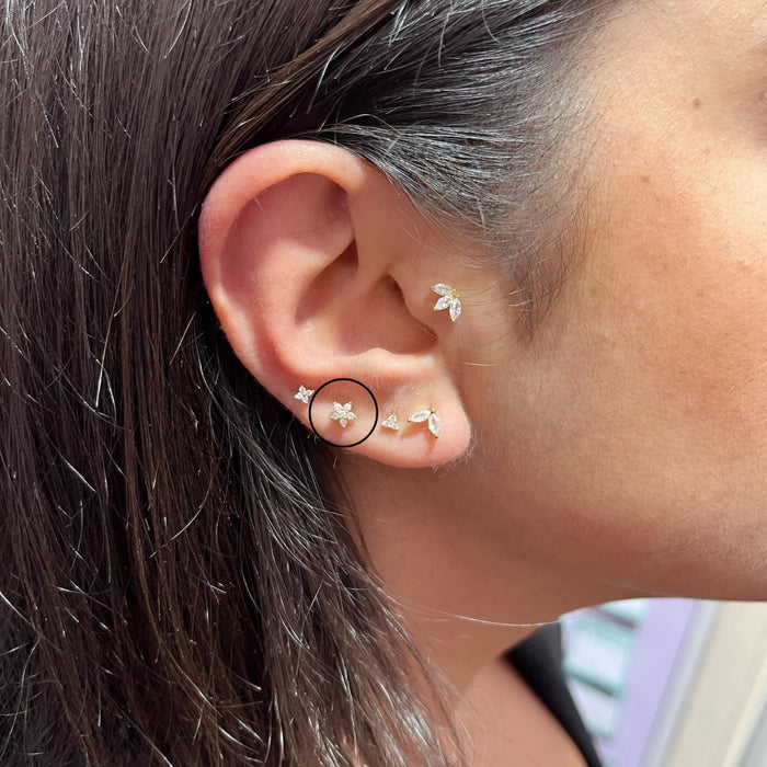 Marquise Flower Studs